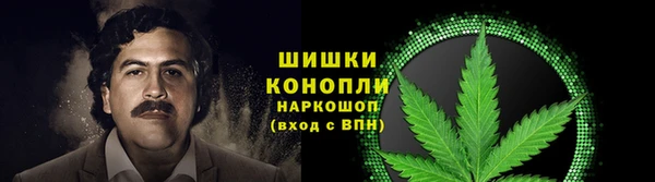 ГАЛЛЮЦИНОГЕННЫЕ ГРИБЫ Белокуриха