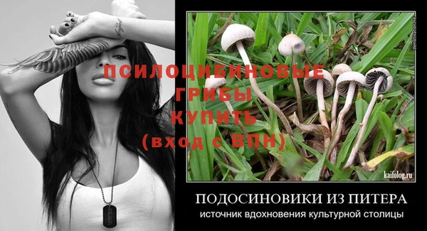 стаф Белоозёрский