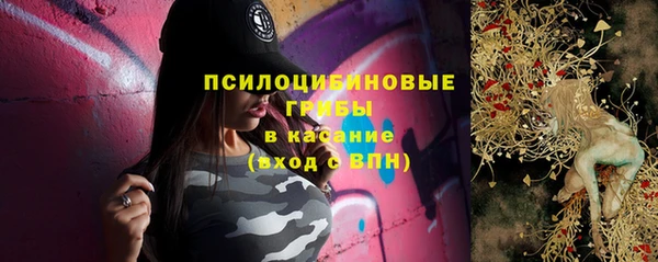 стаф Белоозёрский