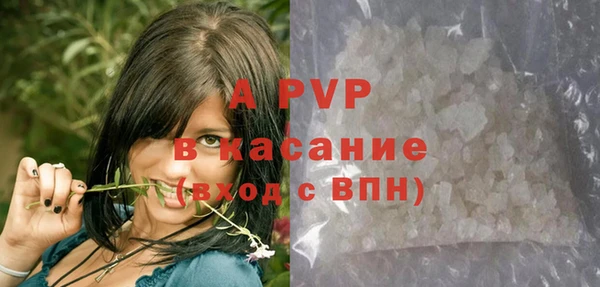стаф Белоозёрский
